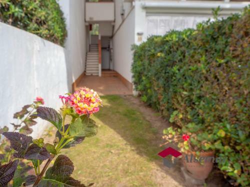 Apartamento Margaritas