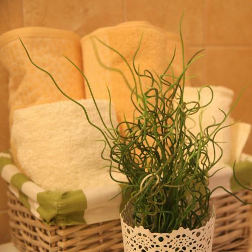 Apartment Babic