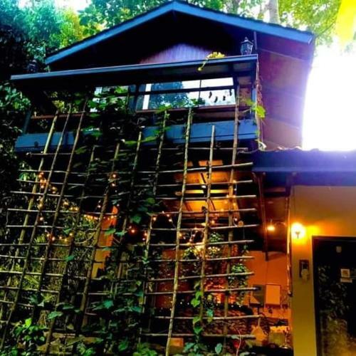 Bed & Breakfast ?????????????????????????