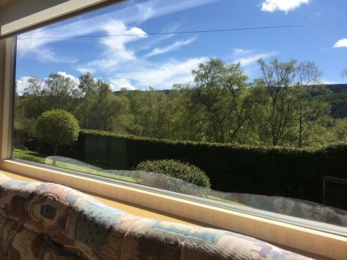 Forest View Caravan At Rose Cottage - Adults Only - Maximum 2 Guests