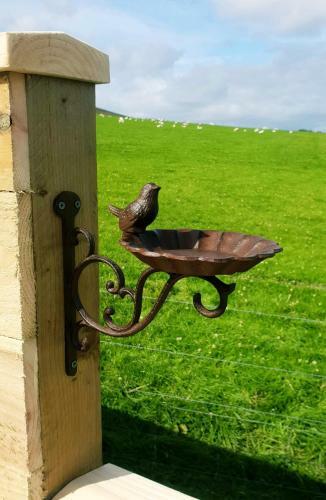 Lilly's Lodges Orkney Butterfly Lodge