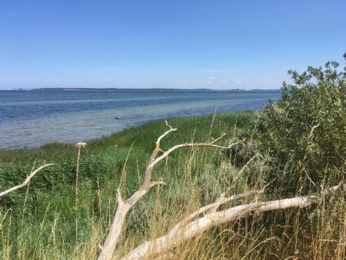 Strandhaus Fiete - Haus Walfisch - Abc330