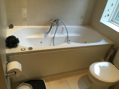 The Mirror Suite, Burway House On The River Thames