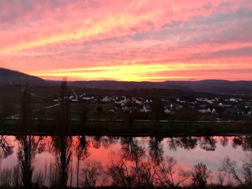 Apartamento Weinlofts An Der Mosel