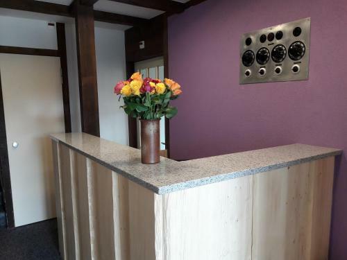 Hostal Hotel Alpenblick M�rren