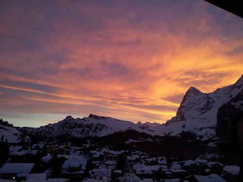 Apartamento Chalet Sch�nb�hl