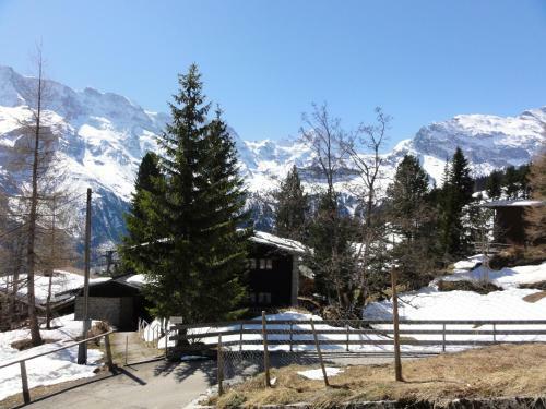 Apartamento Chalet Sch�nb�hl
