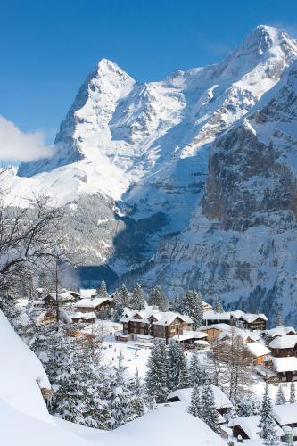 Hotel Jungfrau M�rren