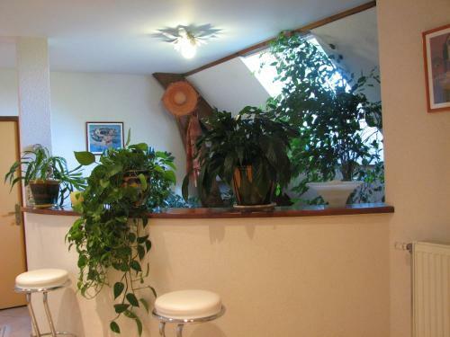 Bed & Breakfast Le Pas De L'ane