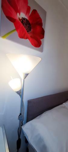 Hostal Merluc Private Guest Suite And Rooms