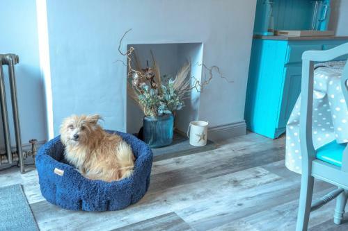 Seaside Breaks - Stylish, Split-level Apartment In Meads Village
