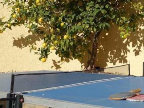 Spacious 3-bedroom Villa With Private Pool In Benigembla, Spain.