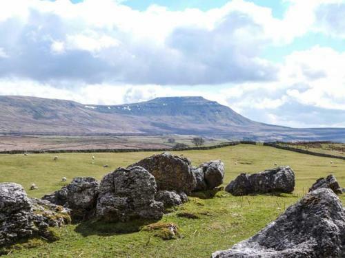 Harber Scar