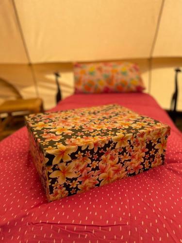 Wild Camping Lands