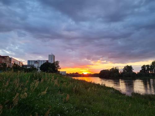 Apartamento Vogelnest Riesa