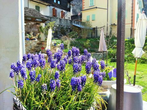 B&B Il Calicanto