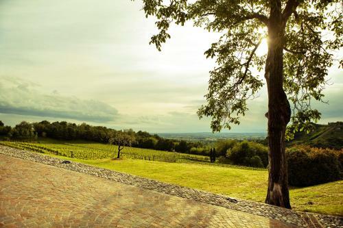 Agroturismo Agriturismo L'uva E Le Stelle