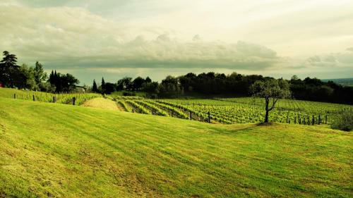 Agroturismo Agriturismo L'uva E Le Stelle