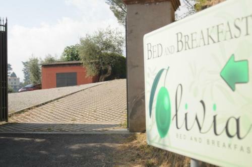 Olivia Bed And Breakfast