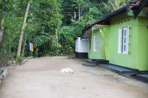 Home Hostel Ella