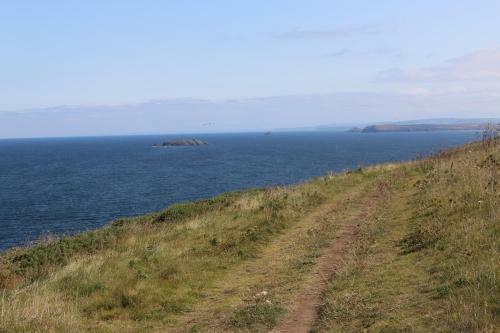 Detached Bungalow In North Cornwall