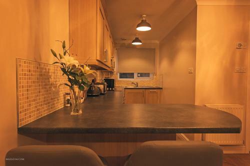 Birmingham Apartment Bhx, Nec & City Centre, B