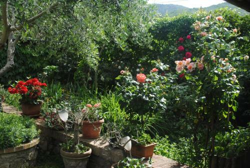 Villa Le Casaline