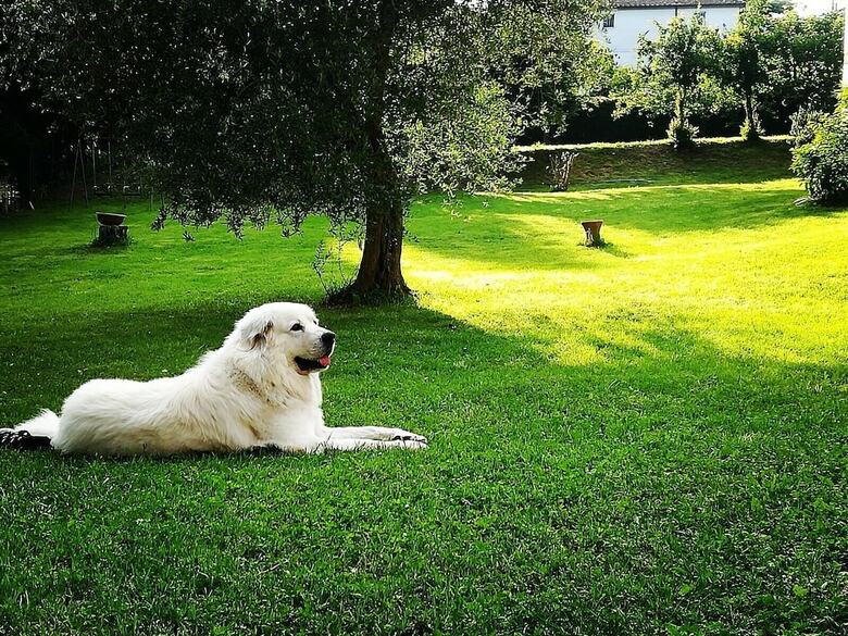 Agroturismo Agriturismo Campo Al Sole