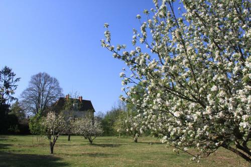 Bed & Breakfast Ch�teau Des Edelins