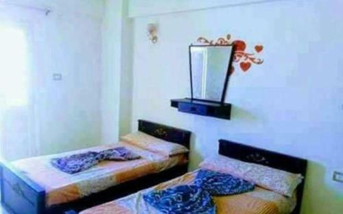 Apartamento ?????? 21 ?????? ??????