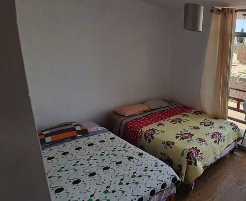 Albergue Tampulodge