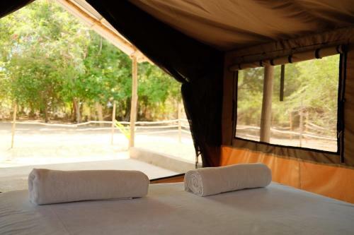 Beneath The Baobabs