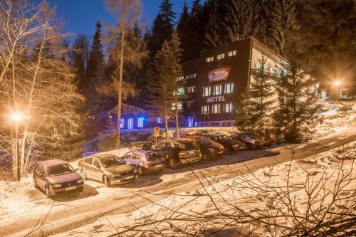 Hotel Babsk�