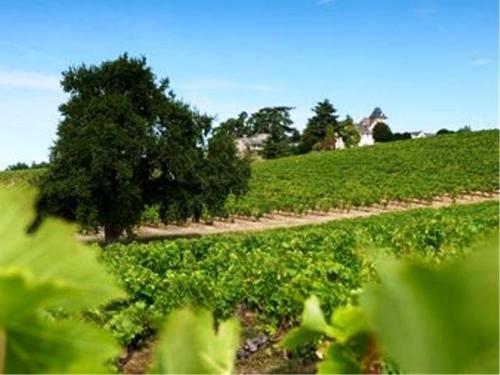 Bed & Breakfast Ch�teau Soucherie