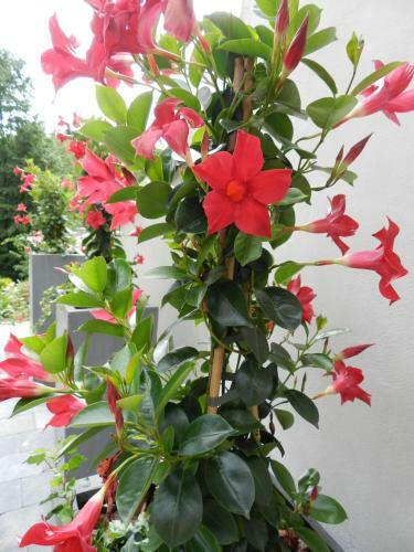 Bed & Breakfast O Sixi�me Sens