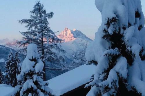 Chalet La Chamoissette With Panoramic Views