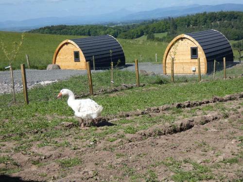 The Arns Glamping Pods
