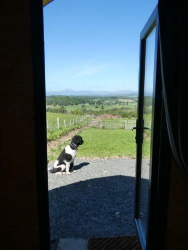 The Arns Glamping Pods