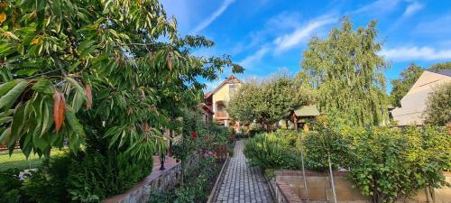 Apartamento Patk�h�z