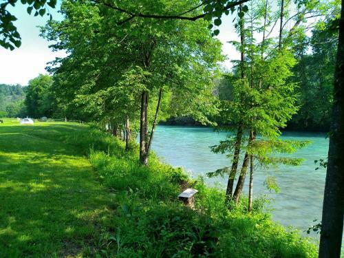 Robinson River Camp