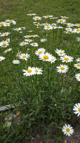 Apartamentos Pr`cajhn