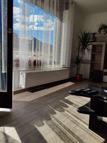 Apartma Ajja