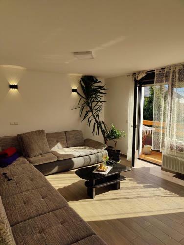 Apartma Ajja