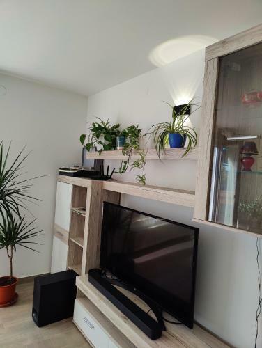 Apartma Ajja