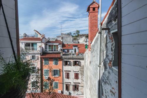 Apartma Remi
