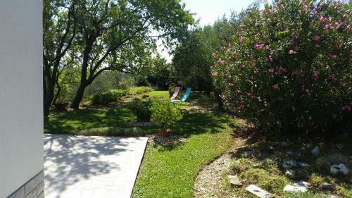 Apartment Istrian View