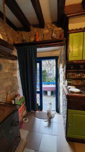 Apartamento Branko's Art House Piran