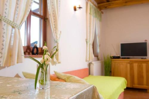 Apartamentos Planinca -hi?a Z Razgledom