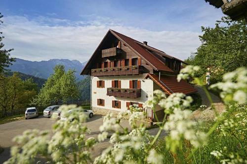 Agroturismo Farm Stay "alpine Dreams"