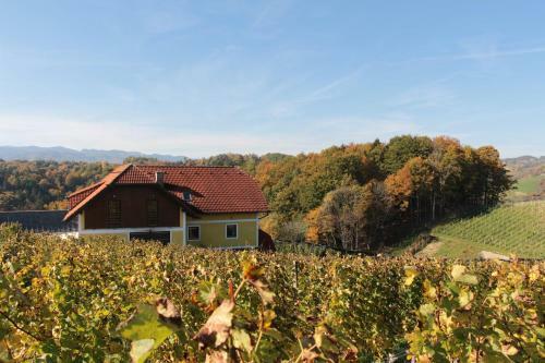 Agroturismo Vdovi? Guest House
